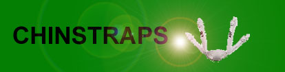 Chinstraps