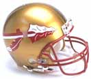 fsu.jpg (11463 bytes)