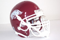 Arkansas Razorbacks