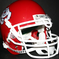 Fresno State Bulldogs