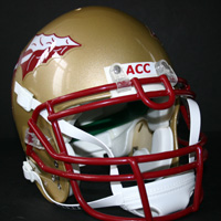 Florida State Seminoles