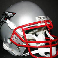 New Mexico Lobos