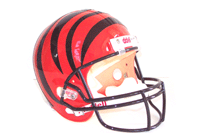 CINCINNATI BENGALS