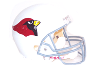 ARIZONA CARDINALS