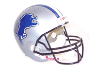 DETROIT LIONS