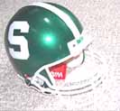 msu.jpg (3209 bytes)