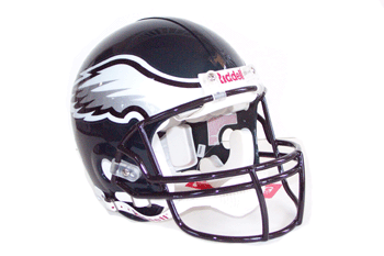 Riddell NFL Helmets with free shield!