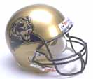 pitt.jpg (9436 bytes)