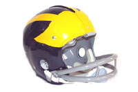 Michigan Wolverines - BO!
