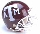 texasa_m.jpg (9436 bytes)