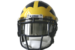 Installed to Real Stuff Helmet